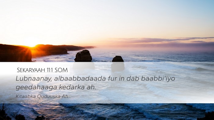 Sekaryaah 11:1 SOM Bible Verse Image
