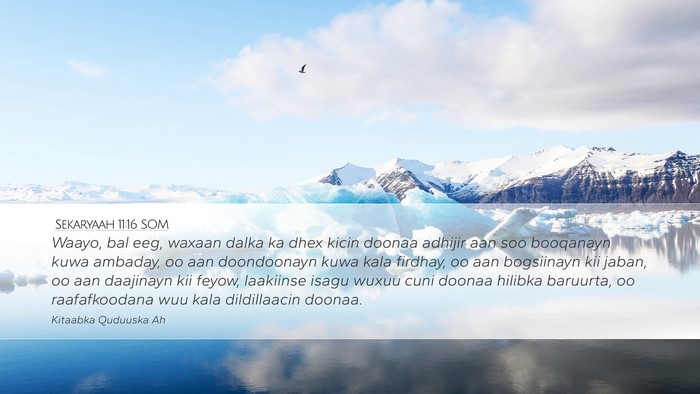 Sekaryaah 11:16 SOM Bible Verse Image