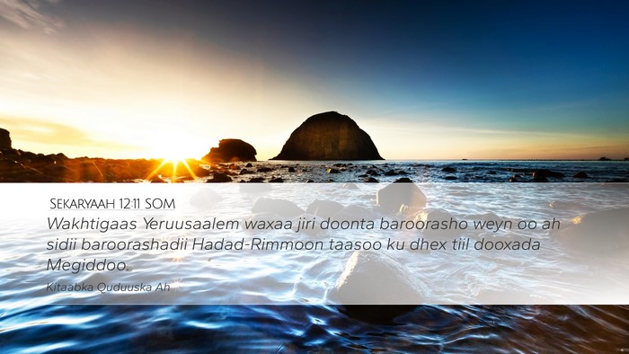 Sekaryaah 12:11 SOM Bible Verse Image