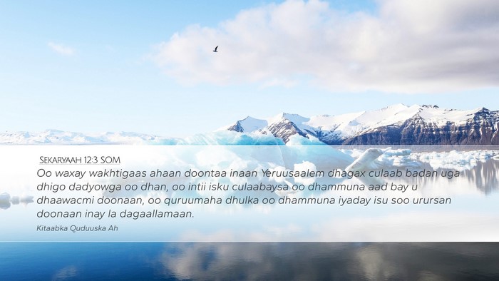 Sekaryaah 12:3 SOM Bible Verse Image