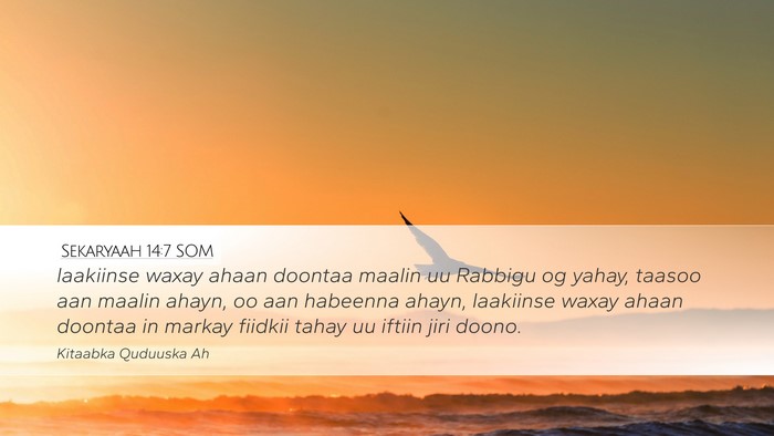 Sekaryaah 14:7 SOM Bible Verse Image