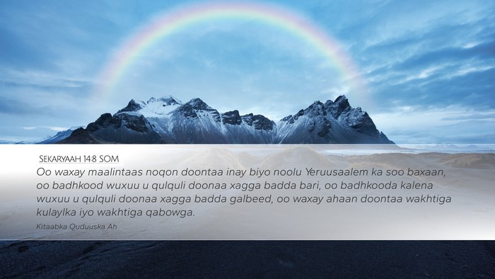 Sekaryaah 14:8 SOM Bible Verse Image