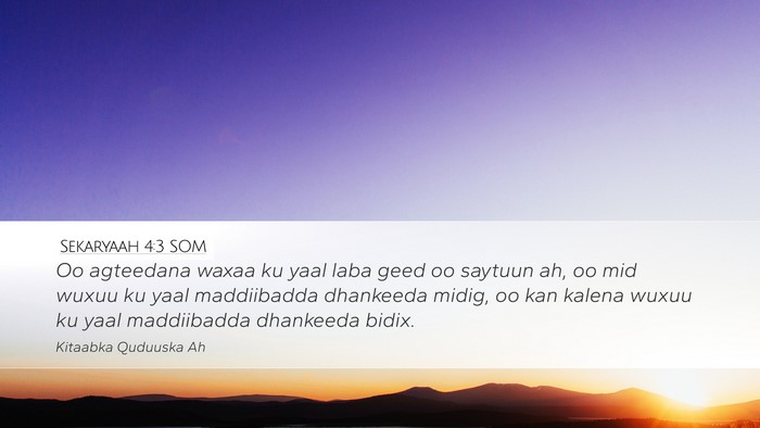 Sekaryaah 4:3 SOM Desktop Wallpaper - Oo agteedana waxaa ku yaal laba geed oo saytuun - Desktop Bible Verse Wallpaper