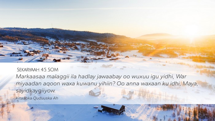 Sekaryaah 4:5 SOM Desktop Wallpaper - Markaasaa malaggii ila hadlay jawaabay oo wuxuu - Desktop Bible Verse Wallpaper