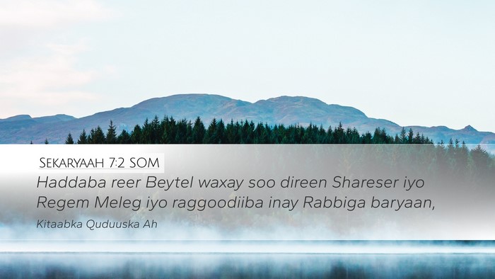 Sekaryaah 7:2 SOM Desktop Wallpaper - Haddaba reer Beytel waxay soo direen Shareser iyo - Desktop Bible Verse Wallpaper