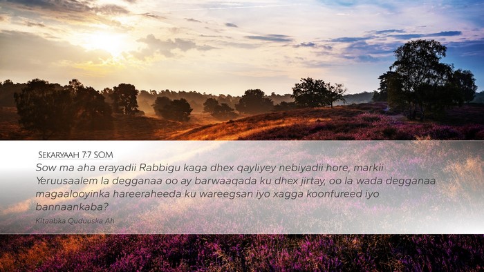 Sekaryaah 7:7 SOM Bible Verse Image