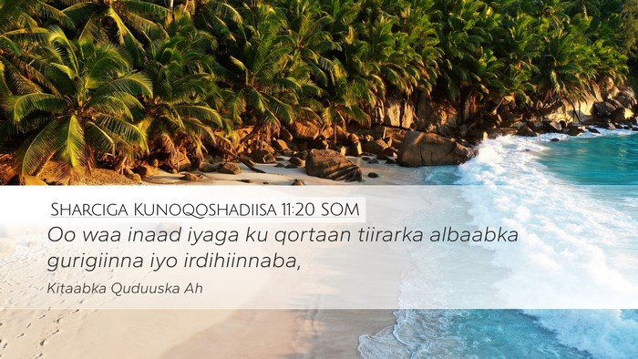 Sharciga Kunoqoshadiisa 11:20 SOM Bible Verse Image