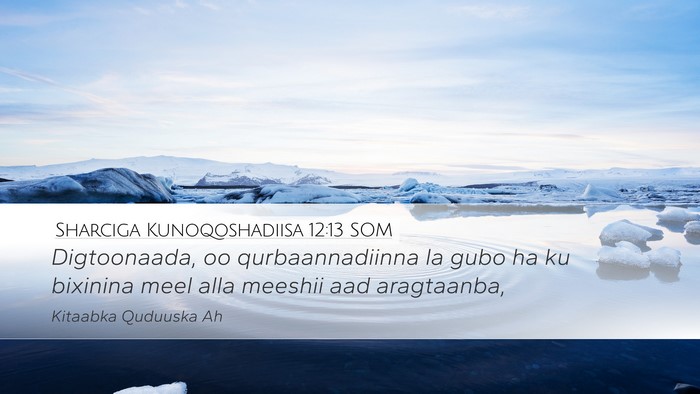 Sharciga Kunoqoshadiisa 12:13 SOM Bible Verse Image