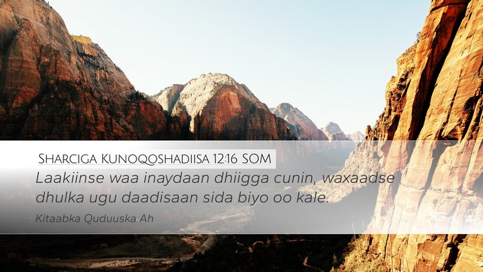 Sharciga Kunoqoshadiisa 12:16 SOM Bible Verse Image