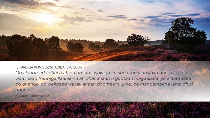 Sharciga Kunoqoshadiisa 13:16 SOM Bible Verse Image