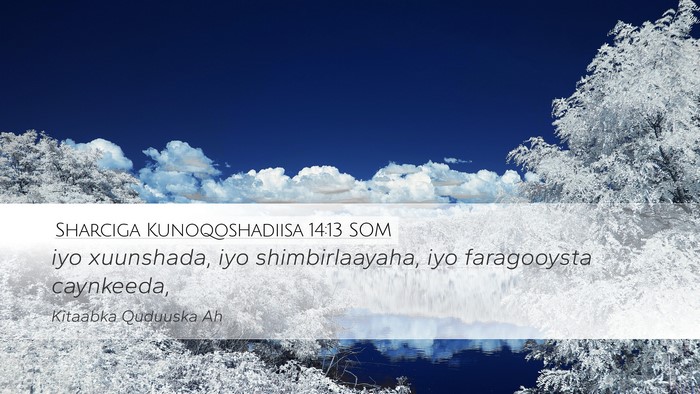 Sharciga Kunoqoshadiisa 14:13 SOM Bible Verse Image
