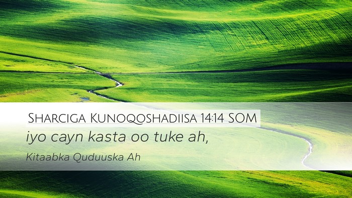 Sharciga Kunoqoshadiisa 14:14 SOM Desktop Wallpaper - iyo cayn kasta oo tuke - Desktop Bible Verse Wallpaper