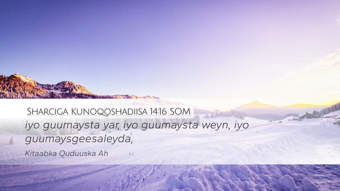 Sharciga Kunoqoshadiisa 14:16 SOM Desktop Wallpaper - iyo guumaysta yar, iyo guumaysta weyn, iyo - Desktop Bible Verse Wallpaper