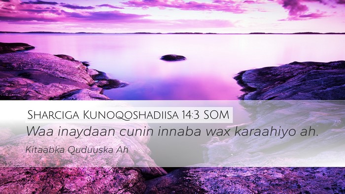Sharciga Kunoqoshadiisa 14:3 SOM Bible Verse Image