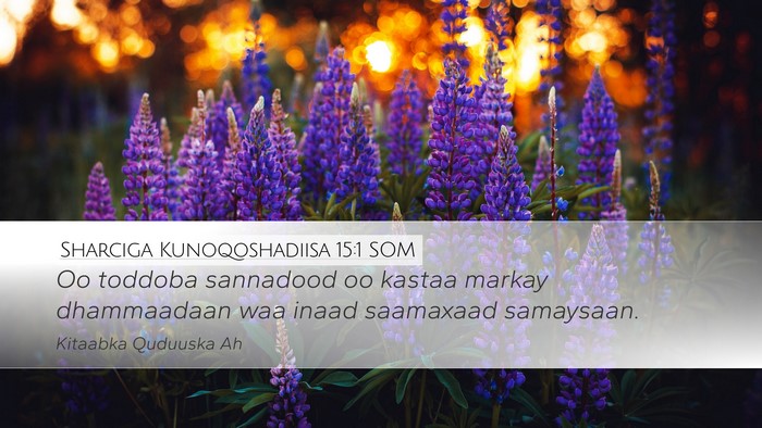 Sharciga Kunoqoshadiisa 15:1 SOM Bible Verse Image