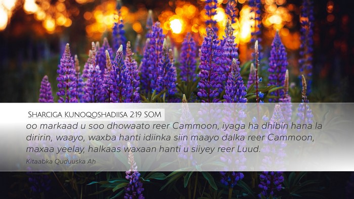 Sharciga Kunoqoshadiisa 2:19 SOM Bible Verse Image