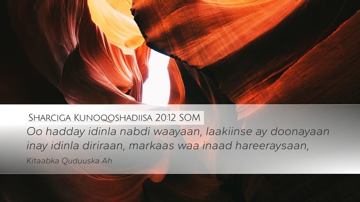 Sharciga Kunoqoshadiisa 20:12 SOM Desktop Wallpaper - Oo hadday idinla nabdi waayaan, laakiinse ay - Desktop Bible Verse Wallpaper