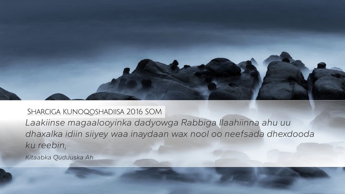 Sharciga Kunoqoshadiisa 20:16 SOM Bible Verse Image