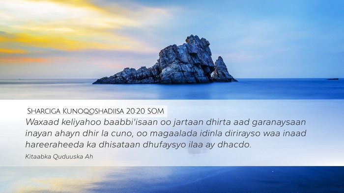 Sharciga Kunoqoshadiisa 20:20 SOM Desktop Wallpaper - Waxaad keliyahoo baabbi'isaan oo jartaan dhirta - Desktop Bible Verse Wallpaper