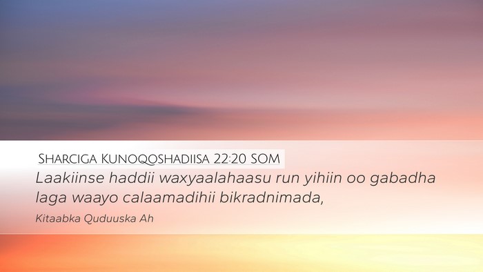Sharciga Kunoqoshadiisa 22:20 SOM Desktop Wallpaper - Laakiinse haddii waxyaalahaasu run yihiin oo - Desktop Bible Verse Wallpaper