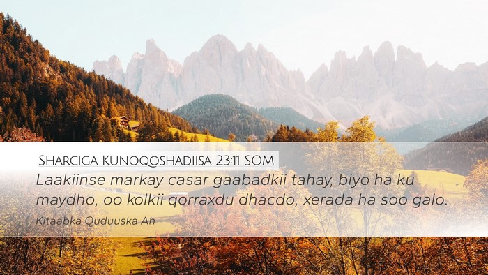 Sharciga Kunoqoshadiisa 23:11 SOM Desktop Wallpaper - Laakiinse markay casar gaabadkii tahay, biyo ha - Desktop Bible Verse Wallpaper