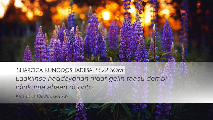 Sharciga Kunoqoshadiisa 23:22 SOM Bible Verse Image