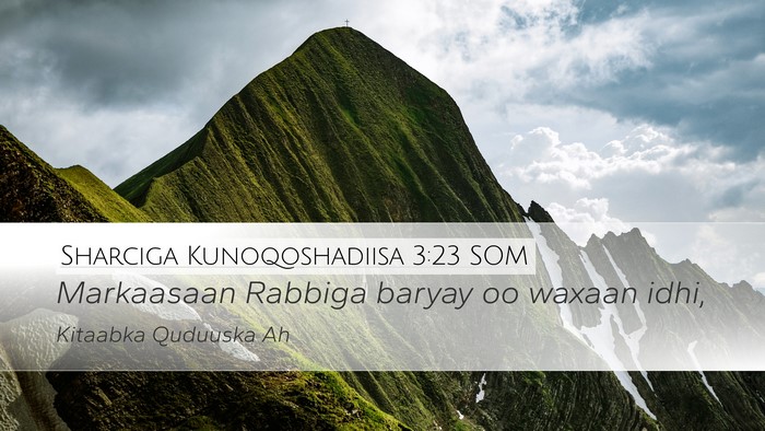 Sharciga Kunoqoshadiisa 3:23 SOM Bible Verse Image