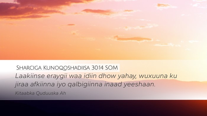 Sharciga Kunoqoshadiisa 30:14 SOM Bible Verse Image