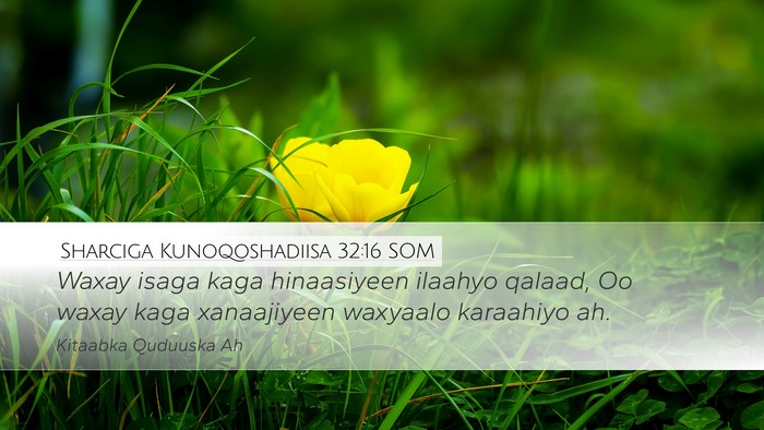 Sharciga Kunoqoshadiisa 32:16 SOM Bible Verse Image