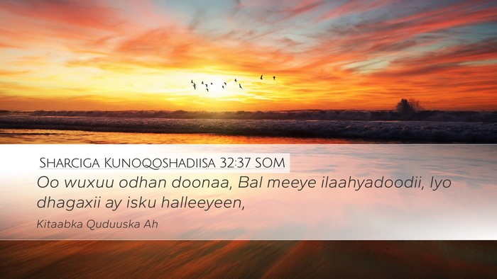 Sharciga Kunoqoshadiisa 32:37 SOM Bible Verse Image
