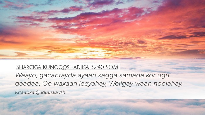 Sharciga Kunoqoshadiisa 32:40 SOM Bible Verse Image