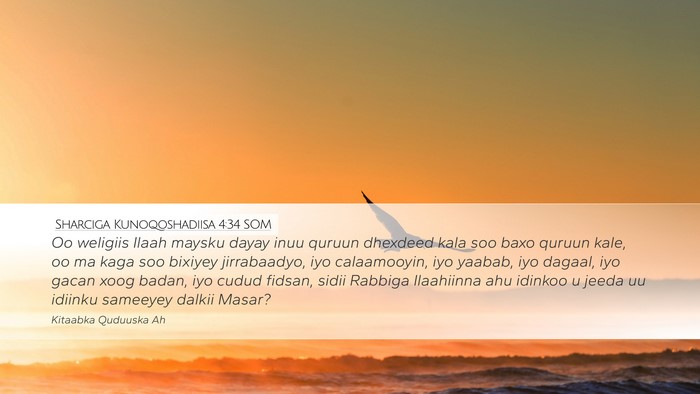 Sharciga Kunoqoshadiisa 4:34 SOM Bible Verse Image