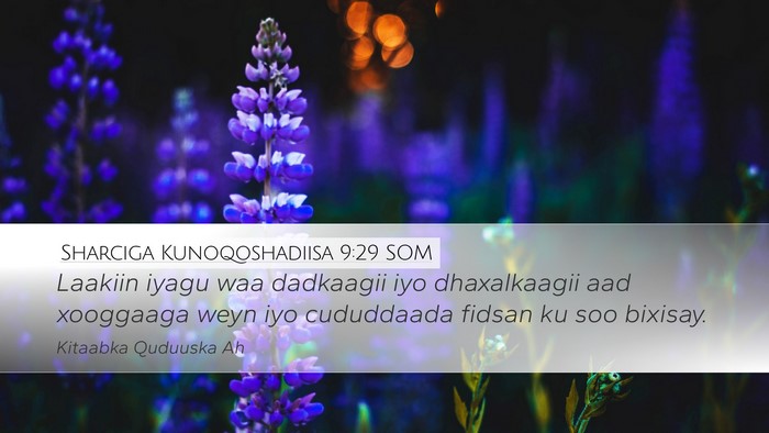 Sharciga Kunoqoshadiisa 9:29 SOM Bible Verse Image