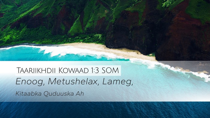 Taariikhdii Kowaad 1:3 SOM Bible Verse Image