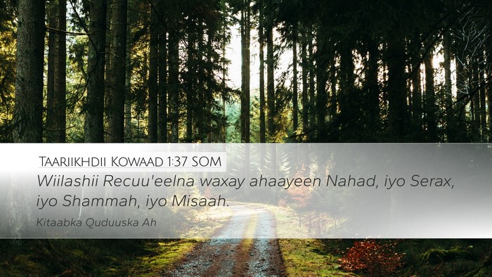 Taariikhdii Kowaad 1:37 SOM Desktop Wallpaper - Wiilashii Recuu'eelna waxay ahaayeen Nahad, iyo - Desktop Bible Verse Wallpaper