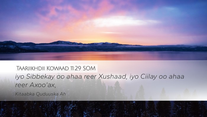 Taariikhdii Kowaad 11:29 SOM Bible Verse Image