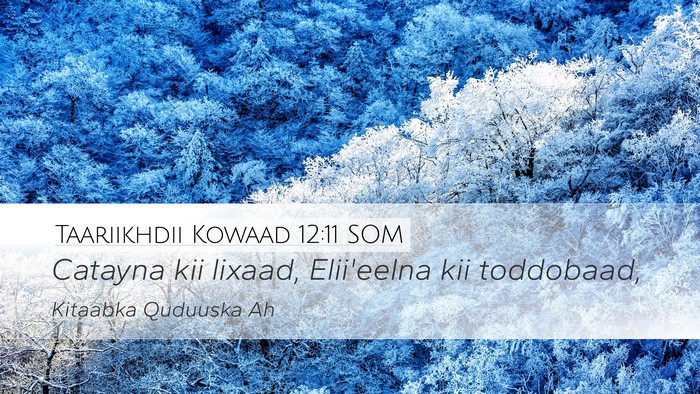 Taariikhdii Kowaad 12:11 SOM Desktop Wallpaper - Catayna kii lixaad, Elii'eelna kii - Desktop Bible Verse Wallpaper