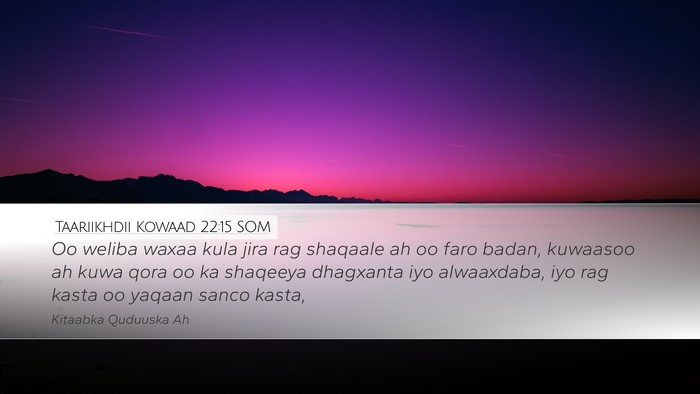 Taariikhdii Kowaad 22:15 SOM Bible Verse Image