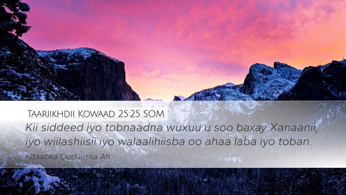 Taariikhdii Kowaad 25:25 SOM Desktop Wallpaper - Kii siddeed iyo tobnaadna wuxuu u soo baxay - Desktop Bible Verse Wallpaper