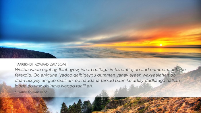 Taariikhdii Kowaad 29:17 SOM Bible Verse Image