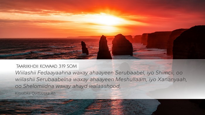 Taariikhdii Kowaad 3:19 SOM Bible Verse Image