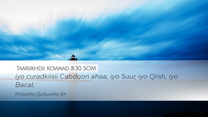 Taariikhdii Kowaad 8:30 SOM Bible Verse Image
