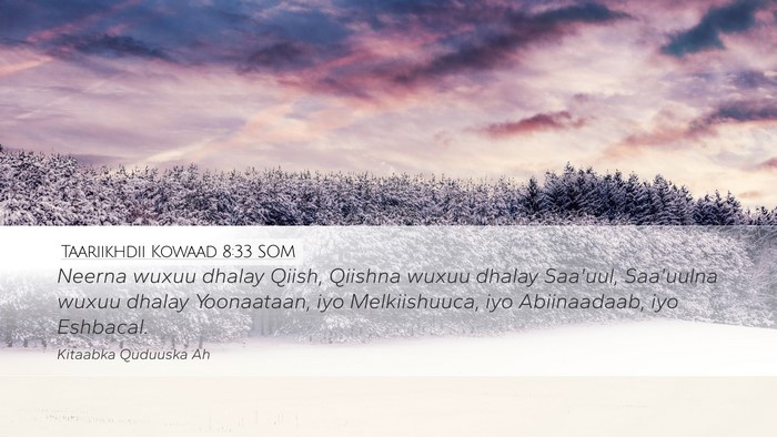 Taariikhdii Kowaad 8:33 SOM Bible Verse Image