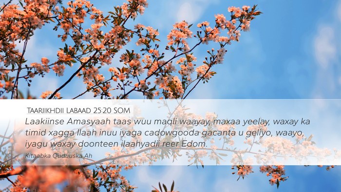 Taariikhdii Labaad 25:20 SOM Bible Verse Image