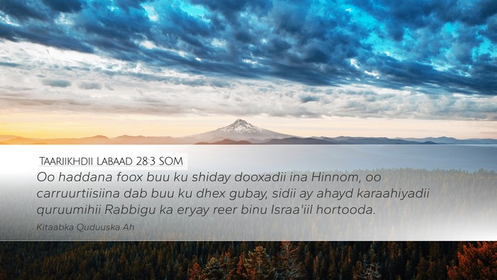 Taariikhdii Labaad 28:3 SOM Bible Verse Image