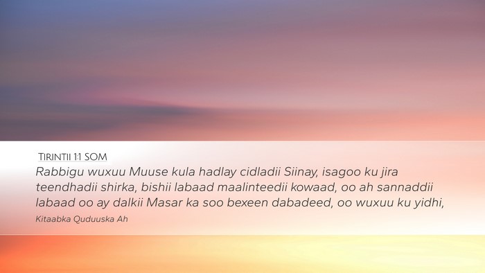 Tirintii 1:1 SOM Desktop Wallpaper - Rabbigu wuxuu Muuse kula hadlay cidladii Siinay, - Desktop Bible Verse Wallpaper
