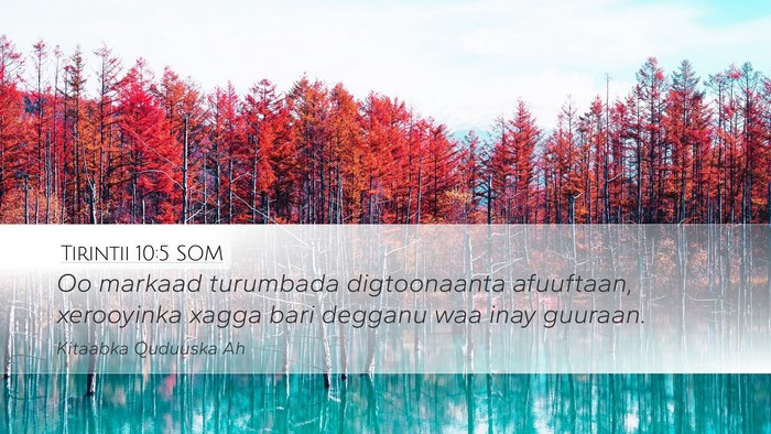 Tirintii 10:5 SOM Desktop Wallpaper - Oo markaad turumbada digtoonaanta afuuftaan, - Desktop Bible Verse Wallpaper