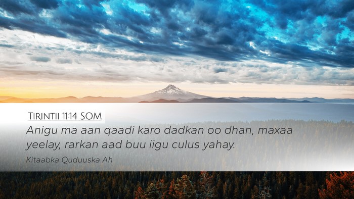 Tirintii 11:14 SOM Desktop Wallpaper - Anigu ma aan qaadi karo dadkan oo dhan, maxaa - Desktop Bible Verse Wallpaper