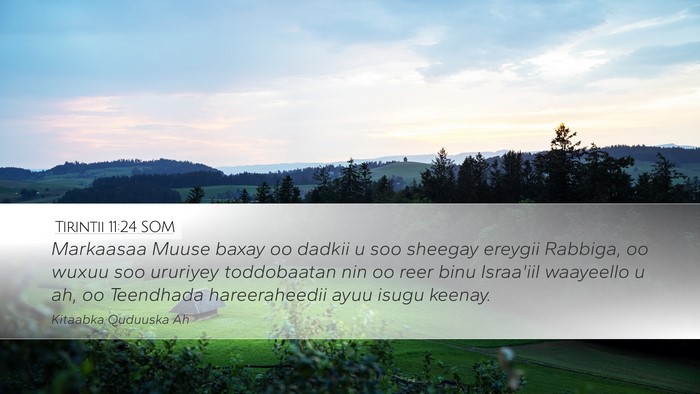Tirintii 11:24 SOM Desktop Wallpaper - Markaasaa Muuse baxay oo dadkii u soo sheegay - Desktop Bible Verse Wallpaper