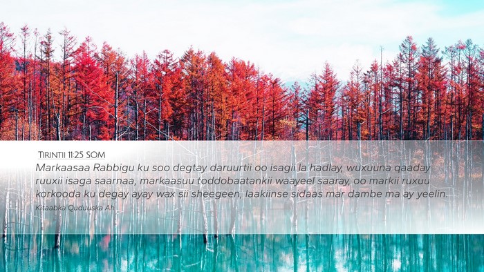 Tirintii 11:25 SOM Bible Verse Image